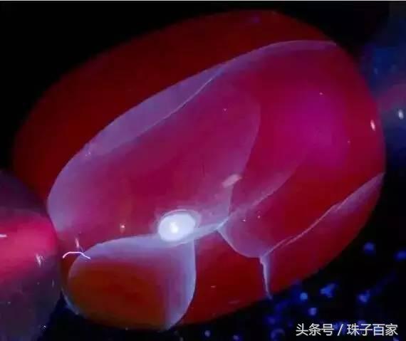 打假为什么南红差价那么大,打假带你了解南红