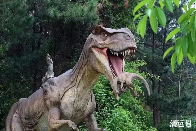 想在佛冈嗨翻天?这条路线一定让你热血沸腾!