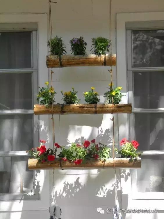 大面积植物墙,竹子植物背景墙