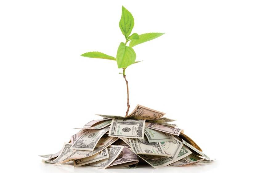 农业众筹怎么快速入门,农业众筹前景分析