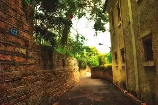 错过美丽的风景,厦门鼓浪屿的风景特别美