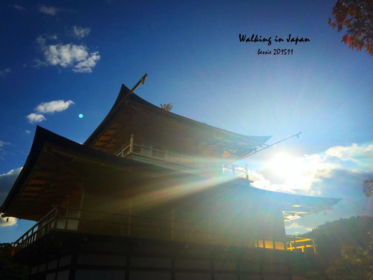 霓虹国秋日暴走之旅,漫步日本旅行游记