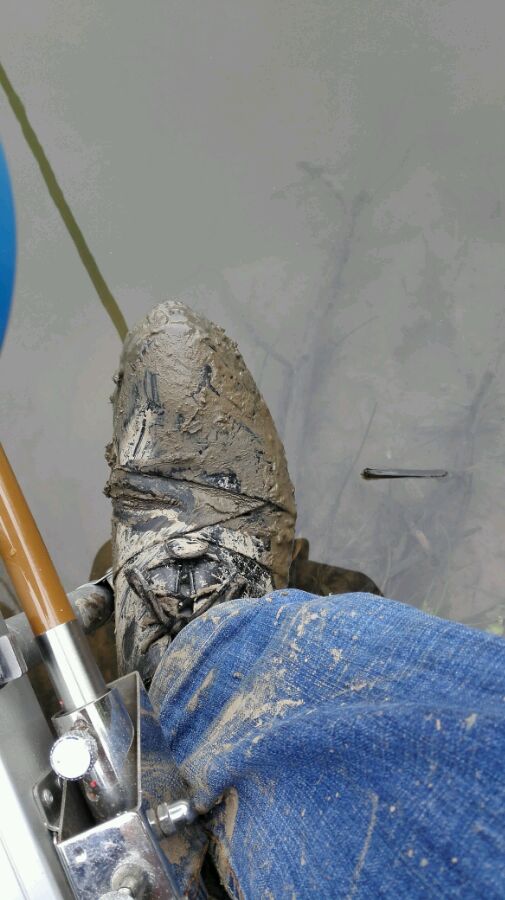 小河钓起一条“翘嘴”仔细一看我笑了