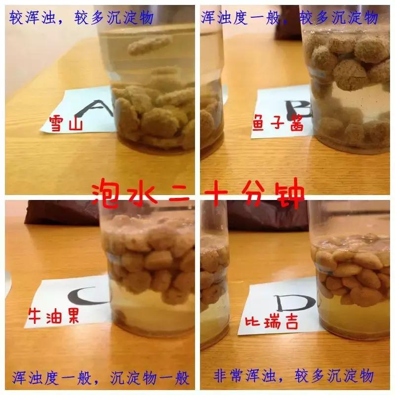 你真的知道该如何选择狗粮吗,如何选择合适的狗粮