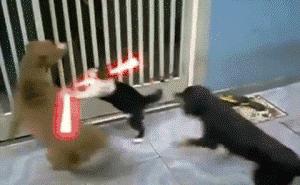 拥有这样的男朋友是一种什么感觉,和潜水员谈恋爱感受