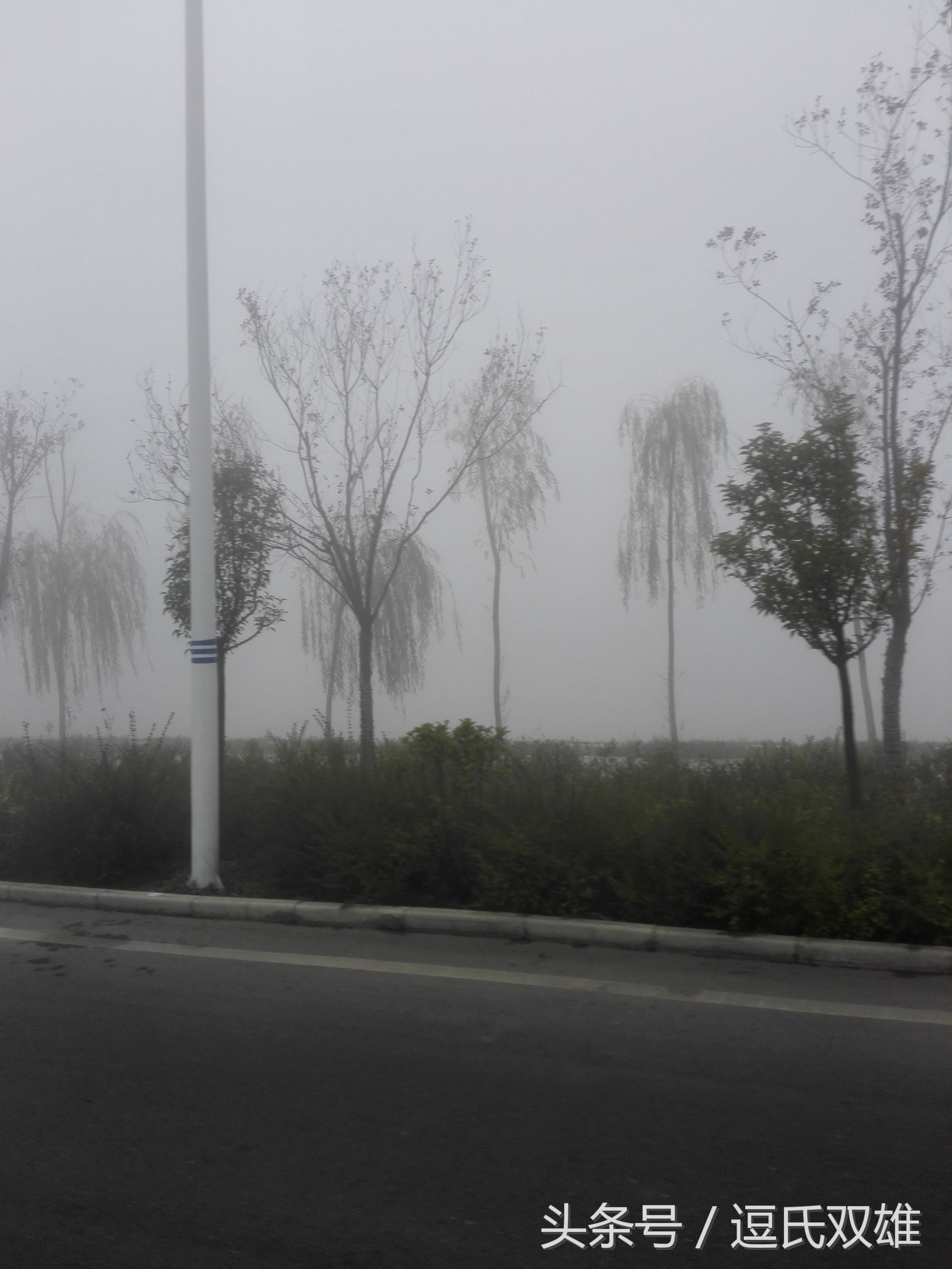 招聘会的活动流程是什么,招聘会的活动内容有哪些