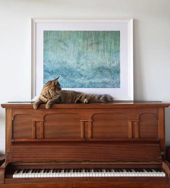 绘画对儿童情商培养的积极作用,绘画对自闭症儿童的治愈效果