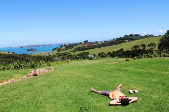 到怀希基岛,品酒-看海