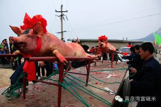 谷雨惊蛰二十四节气,二十四节气惊蛰怎么养生