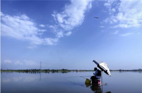 野钓鲤鱼和草鱼的饵料和窝料配方,钓鲤鱼草鱼打什么窝料发窝快