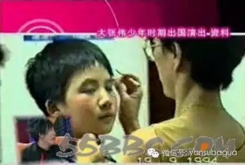 大张伟到底抄袭了吗,大张伟为什么抄袭