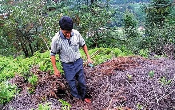 壹闻：地标里藏裸模彩绘艺术家创人体新玩法