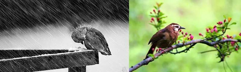 这些公司刚成立就融资上亿元,眼红吗?看创始人背景你就知道了