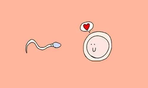 这是一篇比男人还了解“小蝌蚪”的文章