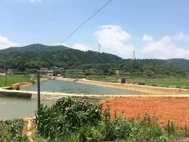 从最贫困村落到旅游首选地,一年时间,韶山这个地方经历了什么?