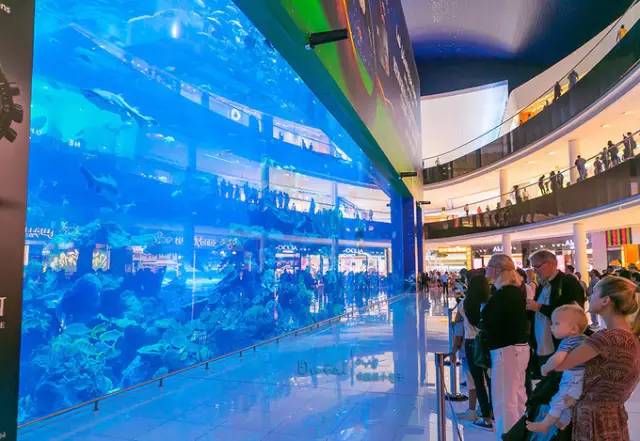 去迪拜最好的攻略,去迪拜阿布扎比旅游攻略