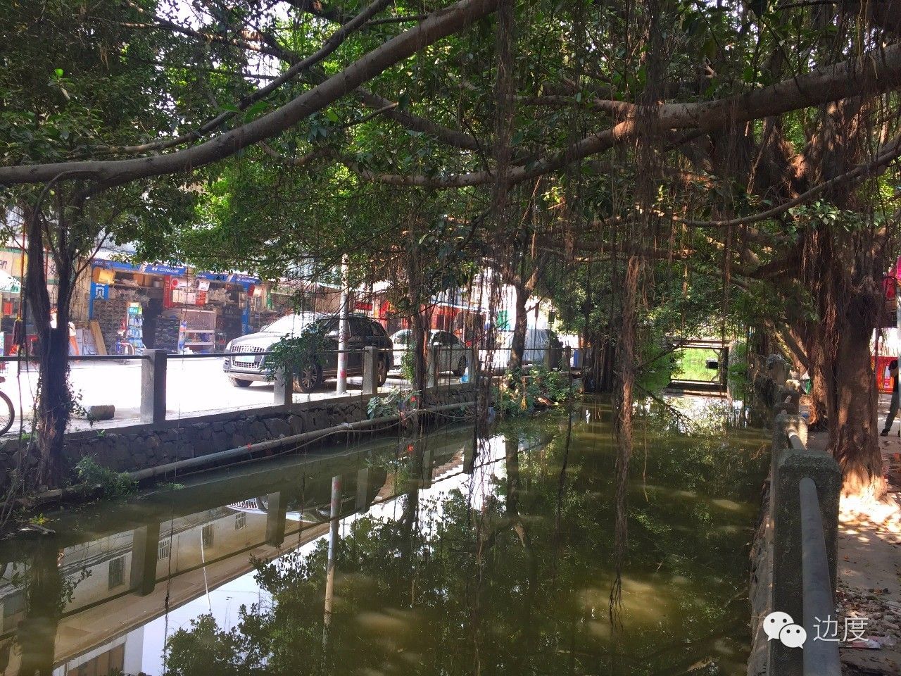 这个店家精通庖丁解猪的绝技，竟能把猪杂分成三十多个精品，让你吃到不同的美味与新鲜