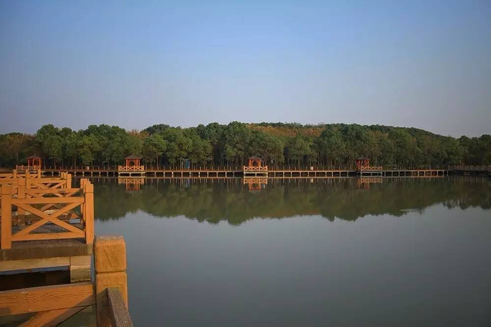 原来在宿舍也可以这么快乐,原来在大连也可以享受洱海