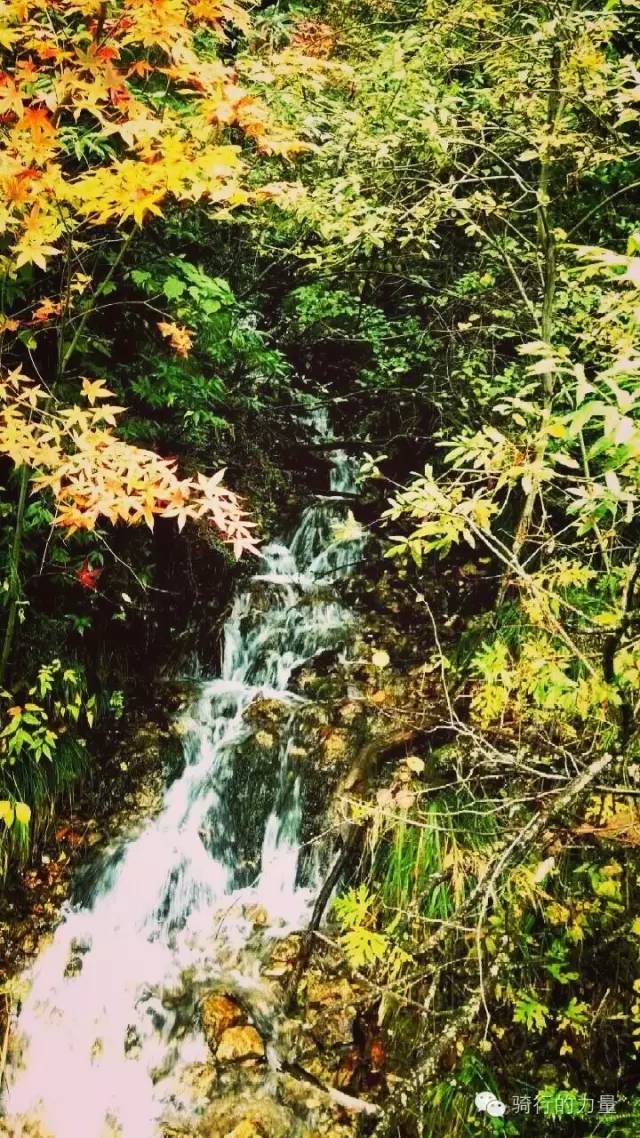 骑行醉美太湖线感受春日美景,骑行感受大自然的美景