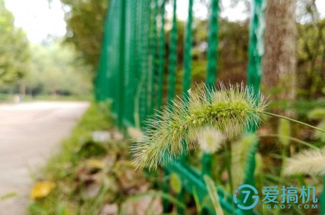 note8荣耀,荣耀note8玩原神