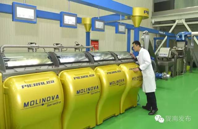 最美橄榄季，小武带您探访“特级初榨”是如何炼成的~