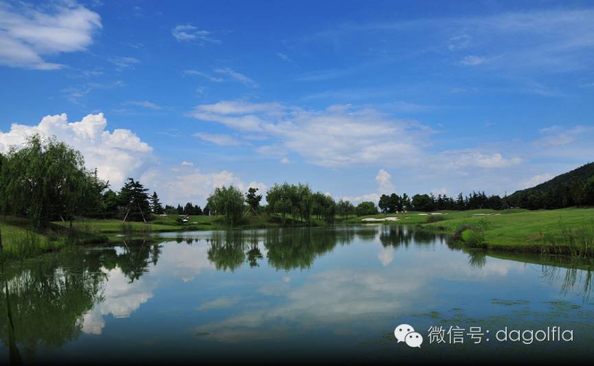 高尔夫优惠团购99元直播,国际高尔夫订场