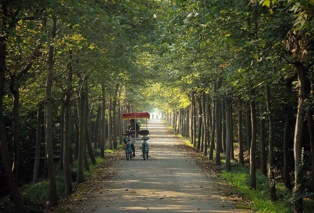 原来在宿舍也可以这么快乐,原来在大连也可以享受洱海