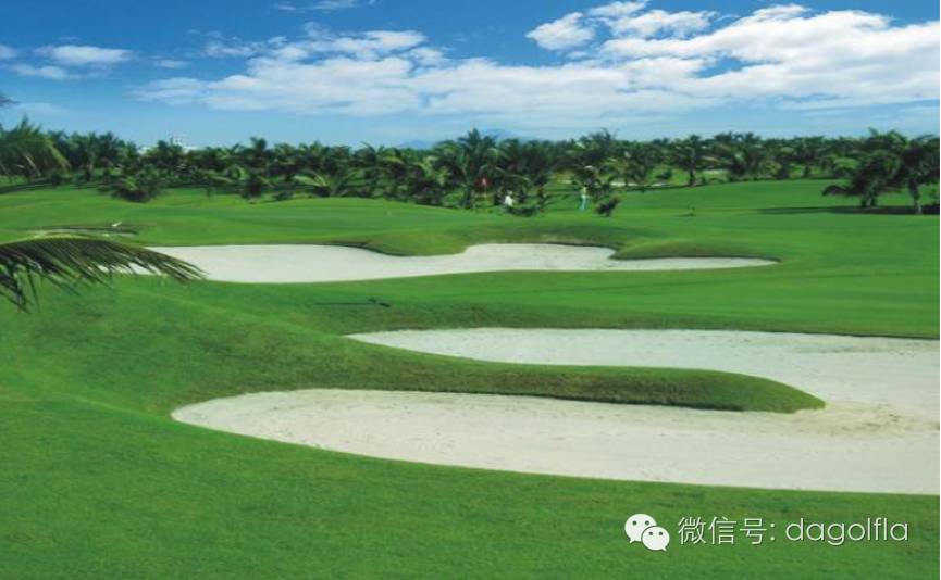 高尔夫优惠团购99元直播,国际高尔夫订场