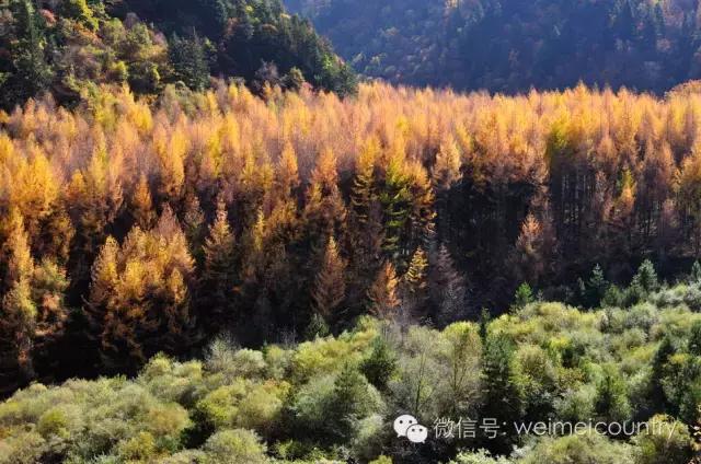 羊茸哈德村落照片,羊茸哈德附近景点
