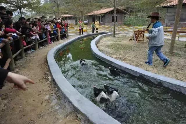 想在佛冈嗨翻天?这条路线一定让你热血沸腾!