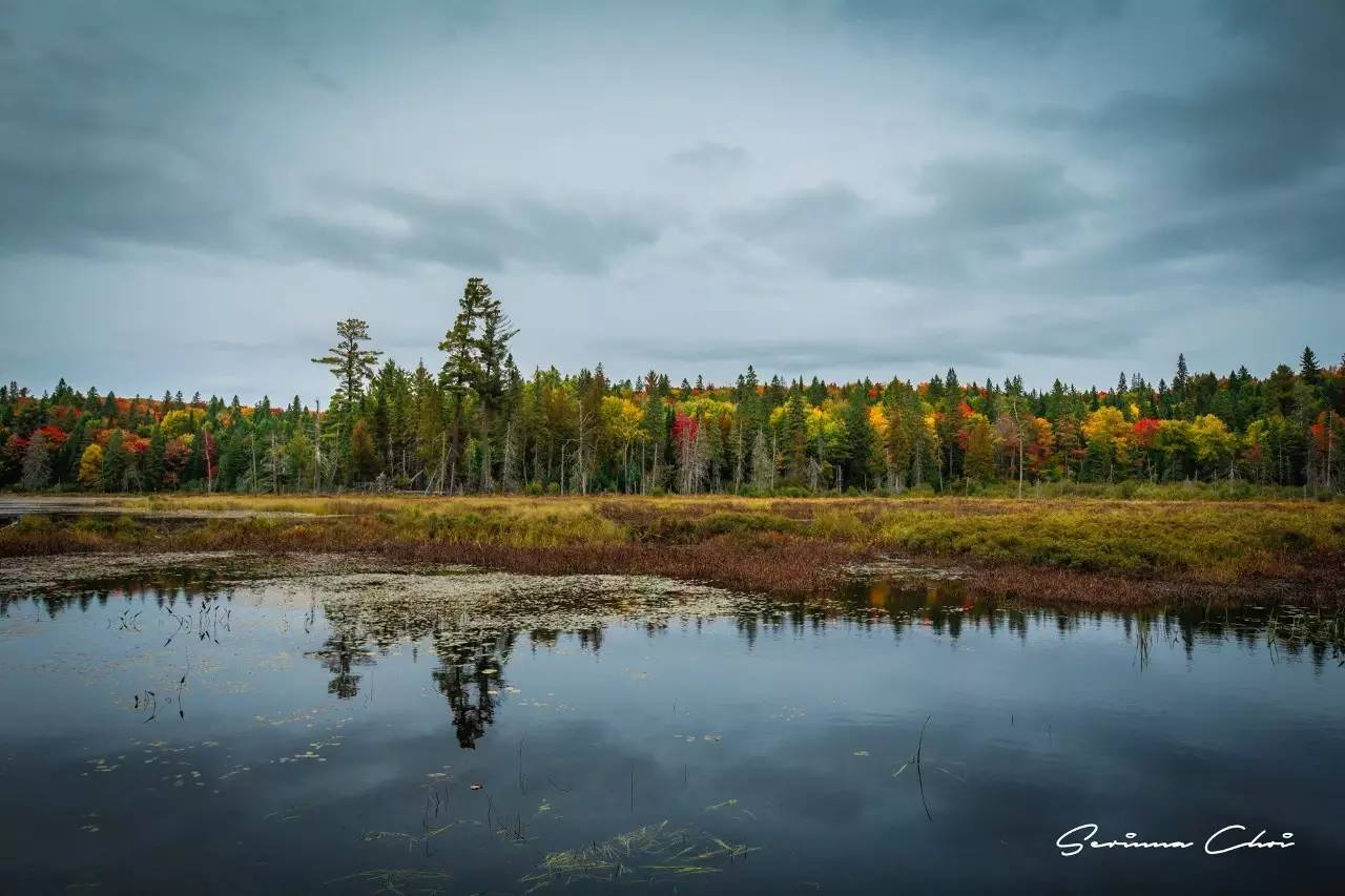 琛屾憚鍗冨北涓囨按鏁欑▼,琛屾憚鏀荤暐