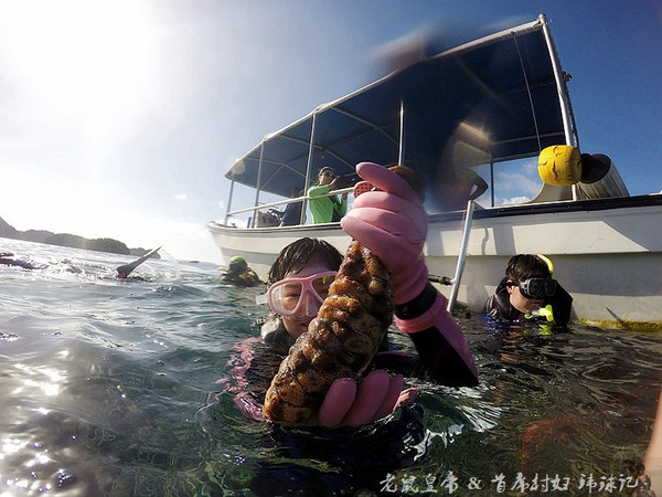 帕劳世界七大海底奇观,帕劳夕阳奇观图片