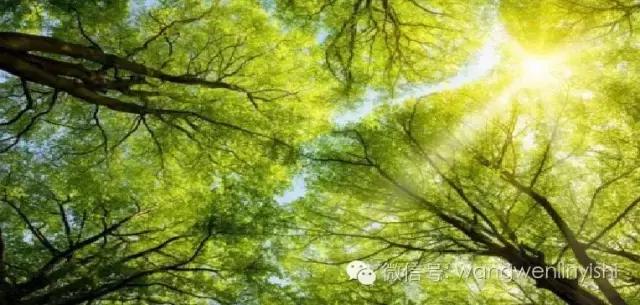 漏斗胸术后能吃点水果吗,漏斗胸缺钙吃什么钙片