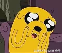 指南｜WIFI之母想活过来参加的双十一购物狂欢再不上车就晚