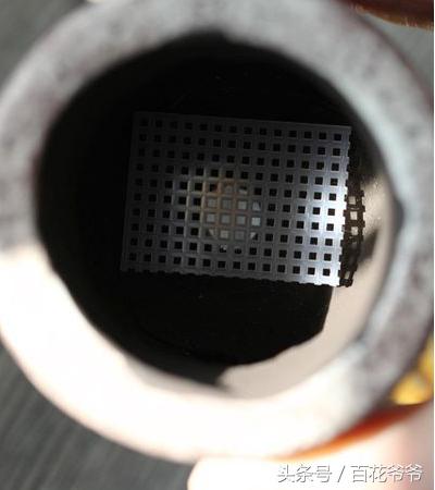 老肉友手把手教你学会韩国进口多肉的定植方法（配图哟！）