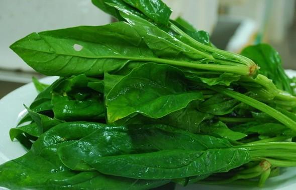 女性同胞要注意事项,女性同胞的注意事项