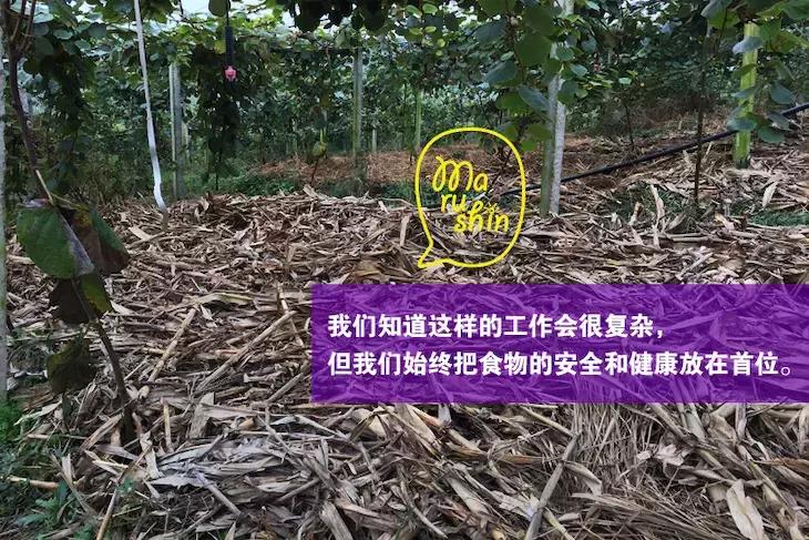 农心|一起向匠人精神致敬!