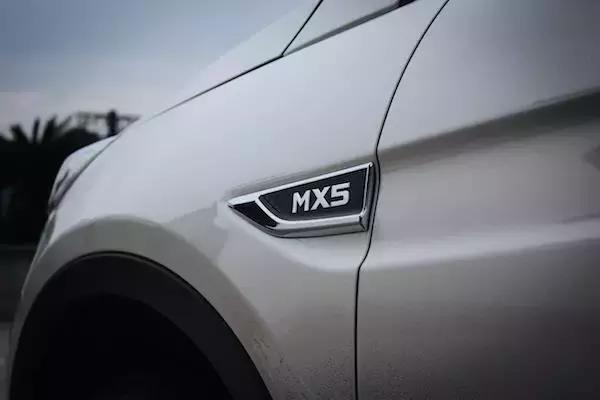 老树开新花七绝,老树开新花枯树发新芽