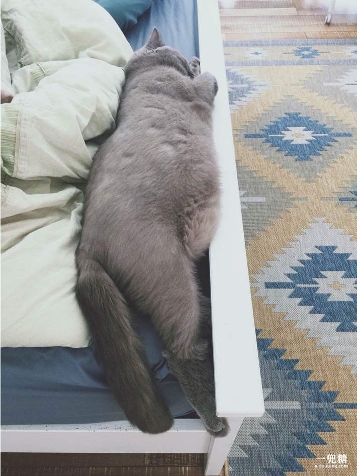 哪一种电暖炉比较好,轻奢电暖炉