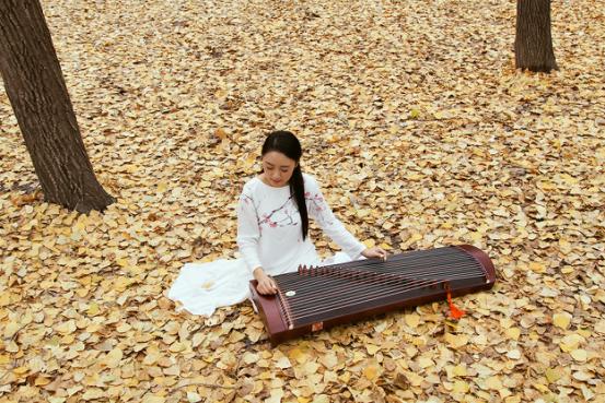 古筝李媛媛老师,梦词古筝声声慢曲谱