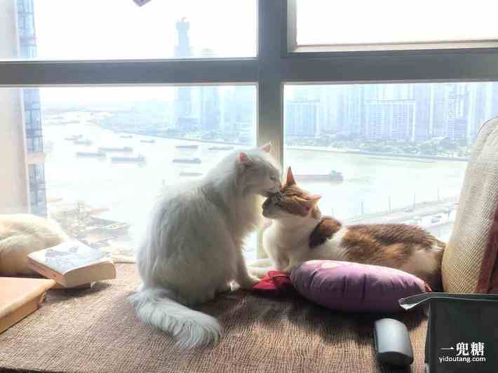 哪一种电暖炉比较好,轻奢电暖炉