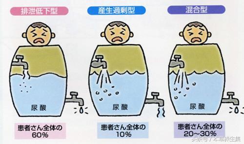 3味中药茶饮,轻松解决尿酸高问题,可预防痛风发作!