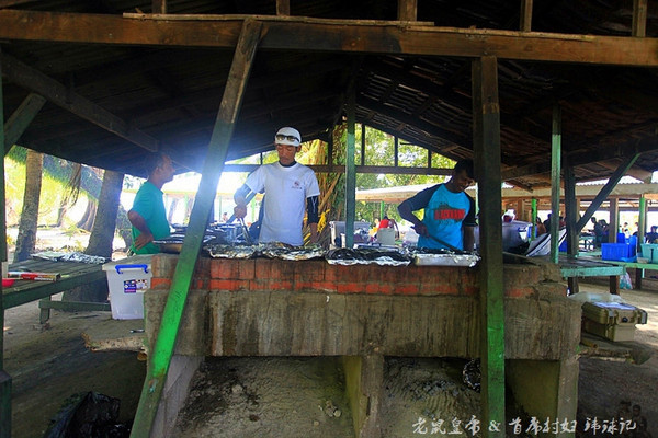 帕劳海底世界完整视频,帕劳潜水遇到的海底生物