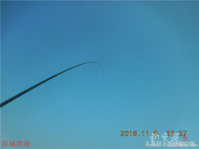 窝料大河野钓推荐,再钓东河水库