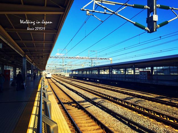 霓虹国秋日暴走之旅,漫步日本旅行游记