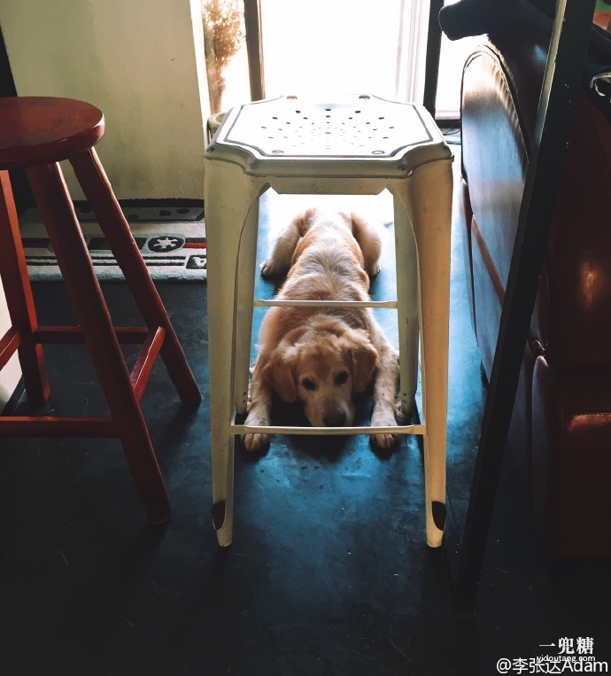 哪一种电暖炉比较好,轻奢电暖炉