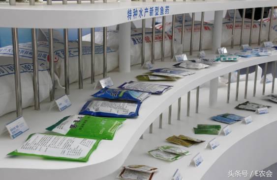 厉害了word村！蕲春淘宝村全国第四！