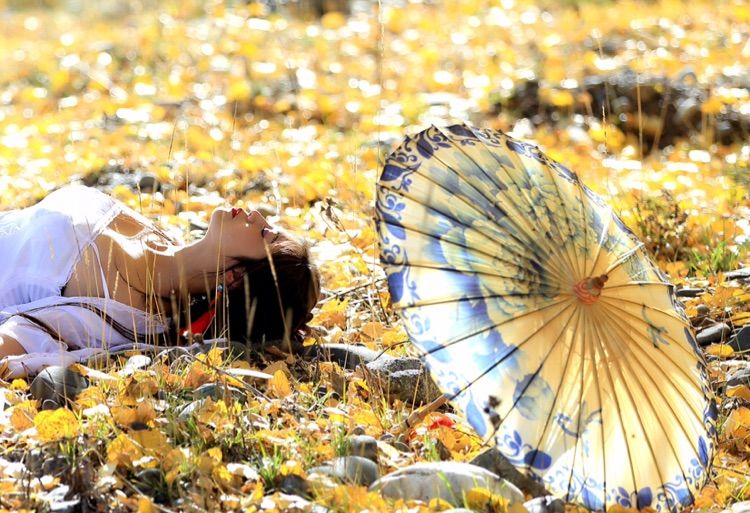 我在秋天等你是什么歌,我在秋天等你美到心碎散文