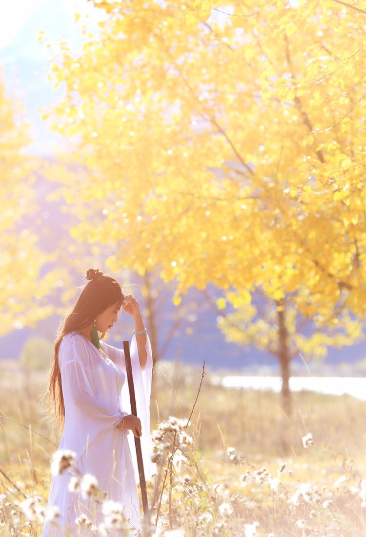 我在秋天等你是什么歌,我在秋天等你美到心碎散文