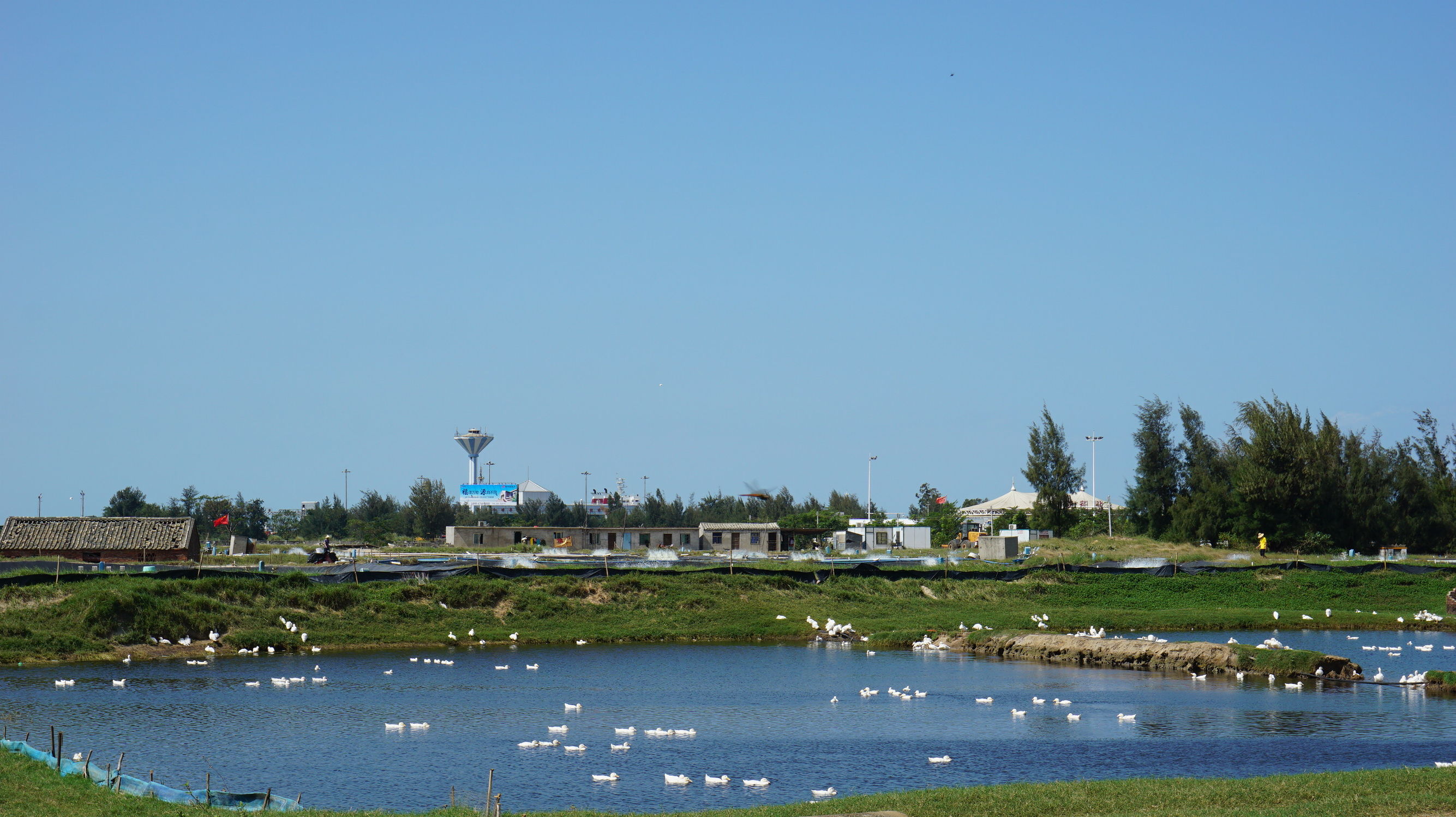 从北漂到东北,从北漂到北大